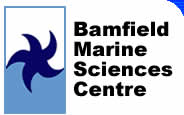 bamfield