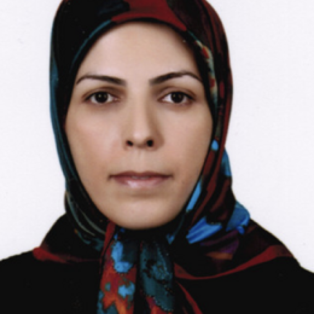 Dr. Mina Aminghafari  