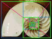 Nautilus Shell 2 - Changing the Culture 1999